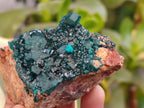 Natural Rare Dioptase and Malachite Specimens x 4 From Likasi, Congo - Toprock Gemstones and Minerals 