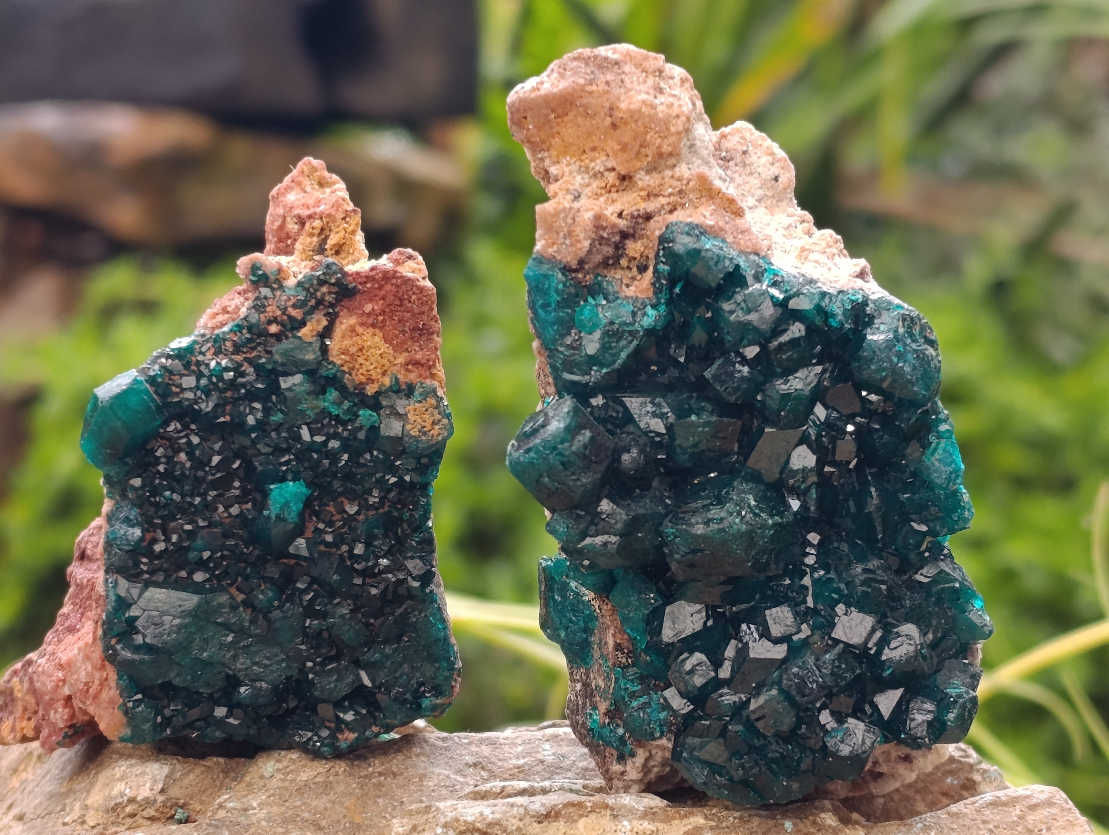 Natural Rare Dioptase and Malachite Specimens x 4 From Likasi, Congo - Toprock Gemstones and Minerals 