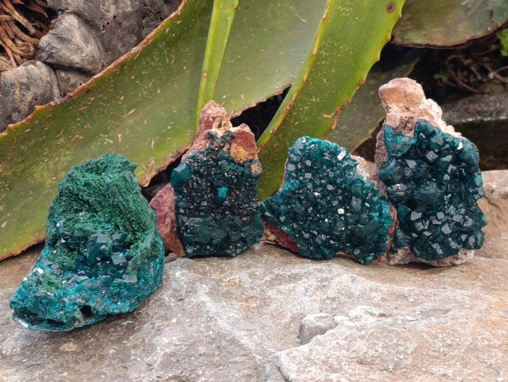 Natural Rare Dioptase and Malachite Specimens x 4 From Likasi, Congo - Toprock Gemstones and Minerals 