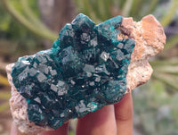 Natural Rare Dioptase and Malachite Specimens x 4 From Likasi, Congo