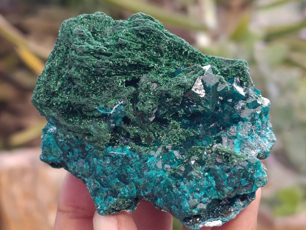 Natural Rare Dioptase and Malachite Specimens x 4 From Likasi, Congo - Toprock Gemstones and Minerals 