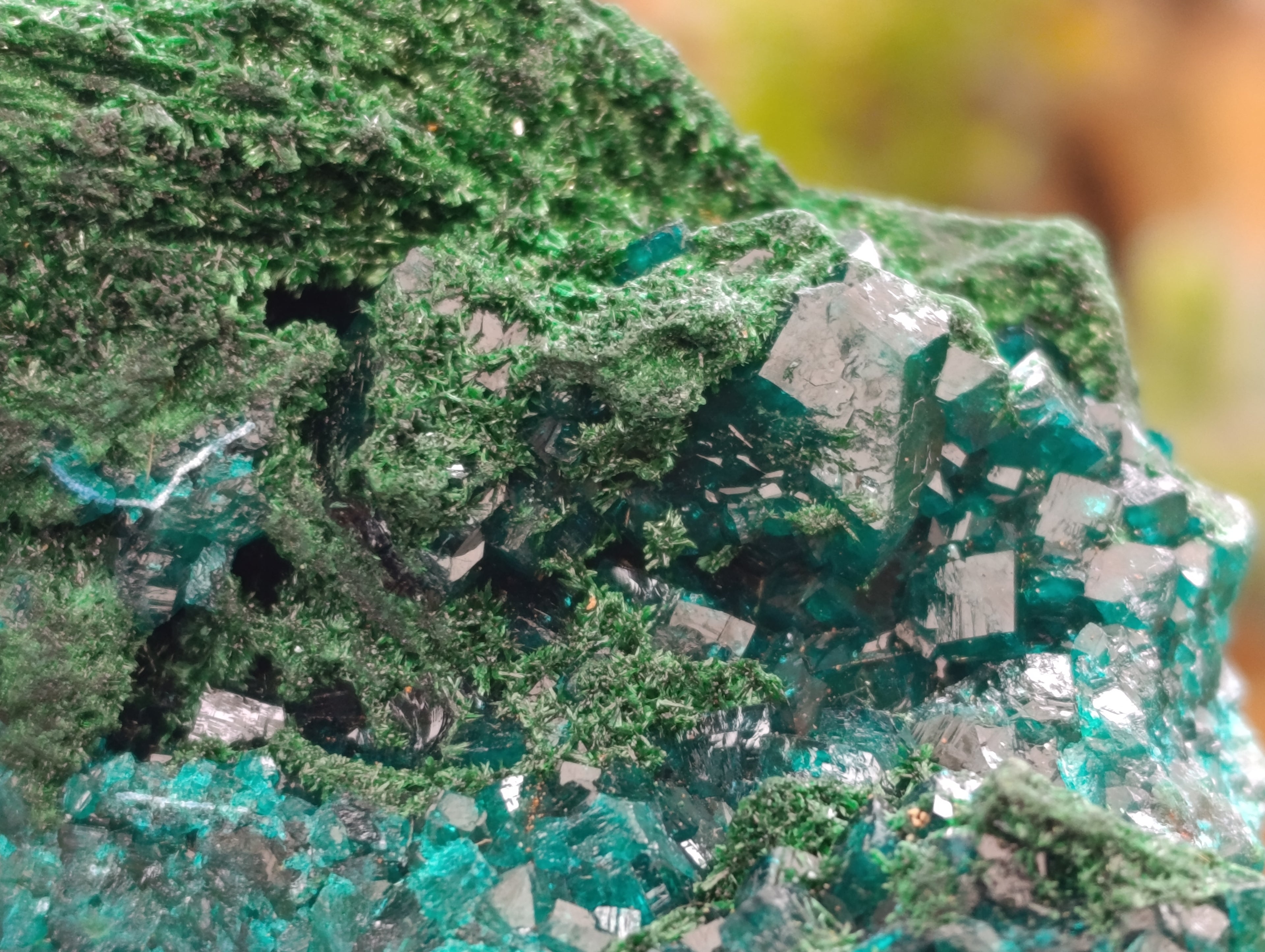 Natural Rare Dioptase and Malachite Specimens x 4 From Likasi, Congo - Toprock Gemstones and Minerals 