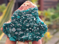 Natural Rare Dioptase and Malachite Specimens x 4 From Likasi, Congo