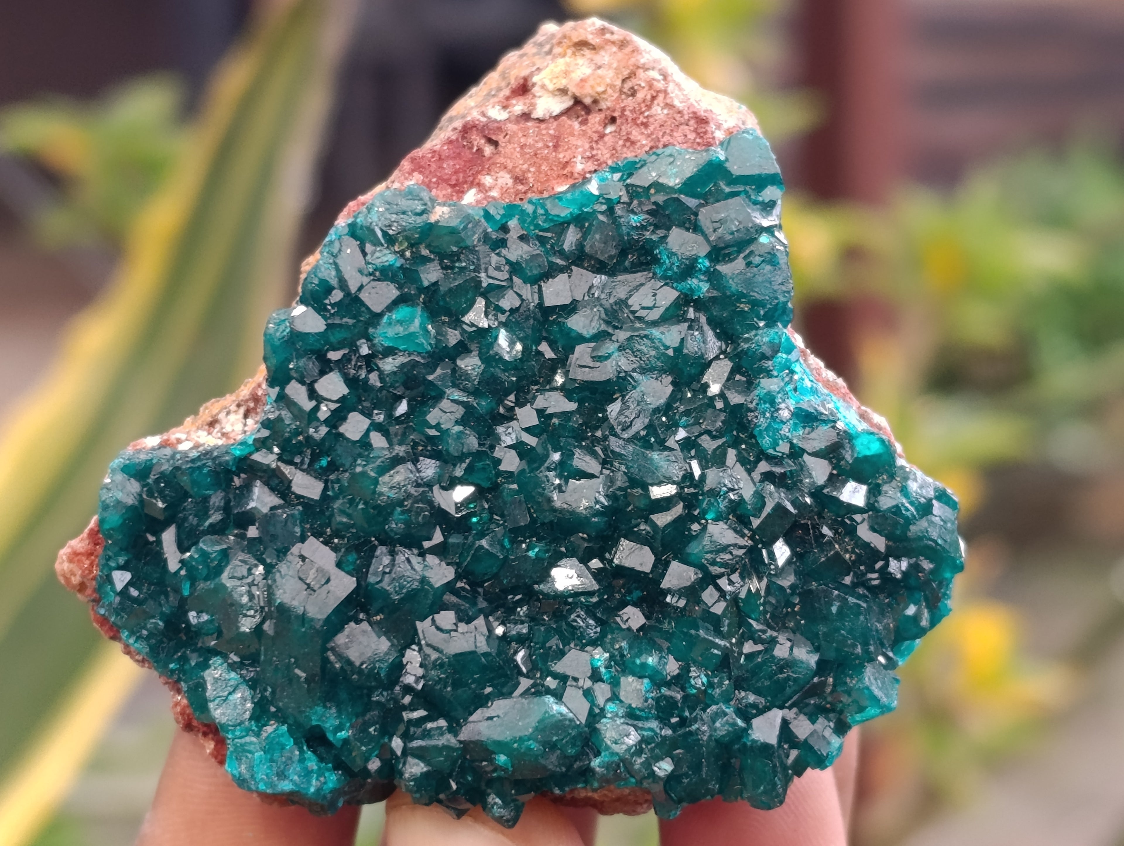 Natural Rare Dioptase and Malachite Specimens x 4 From Likasi, Congo - Toprock Gemstones and Minerals 