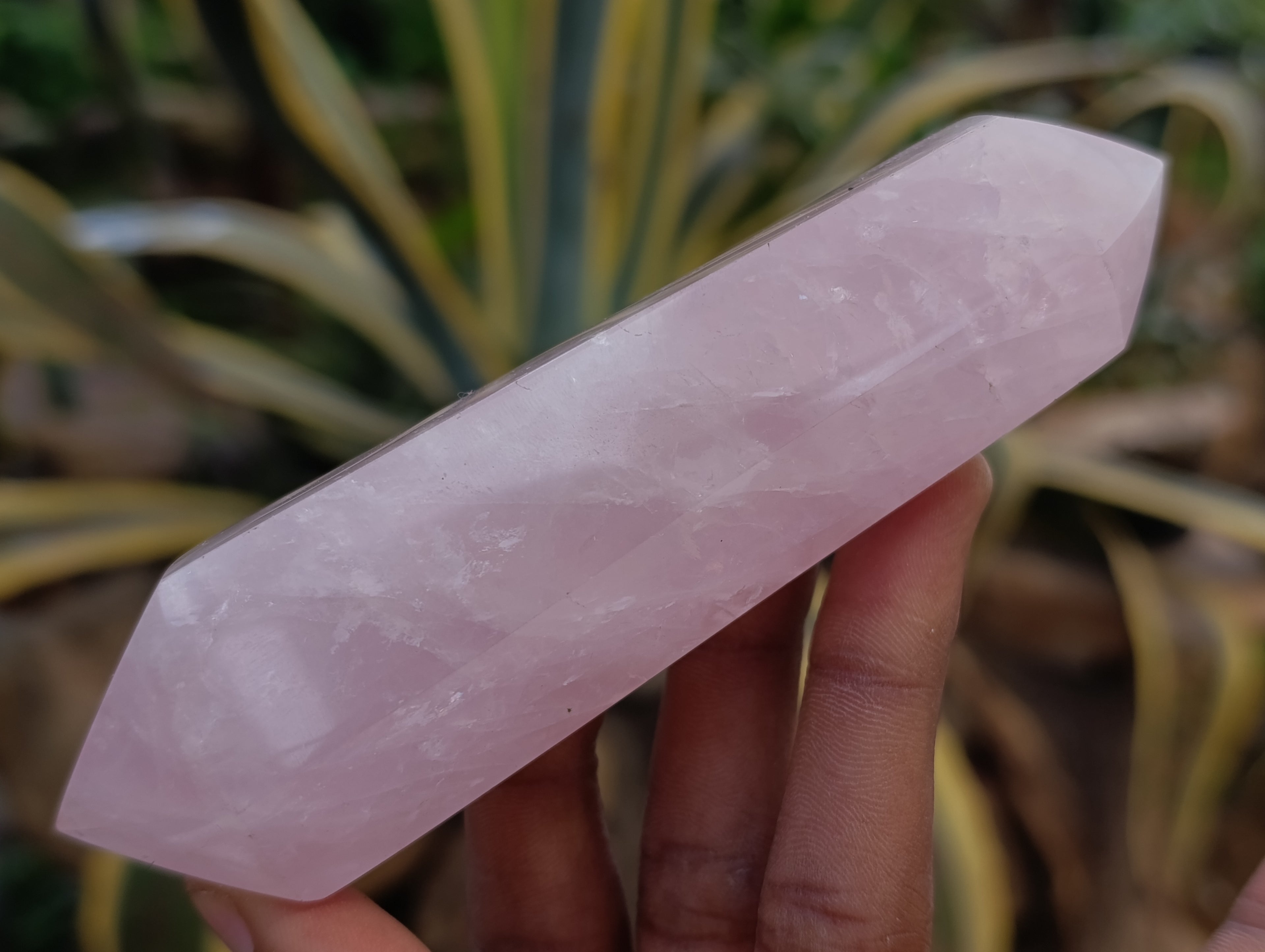 Polished Double Terminated Rose Quartz Points x 6 From Ambatondrazaka, Madagascar - Toprock Gemstones and Minerals 