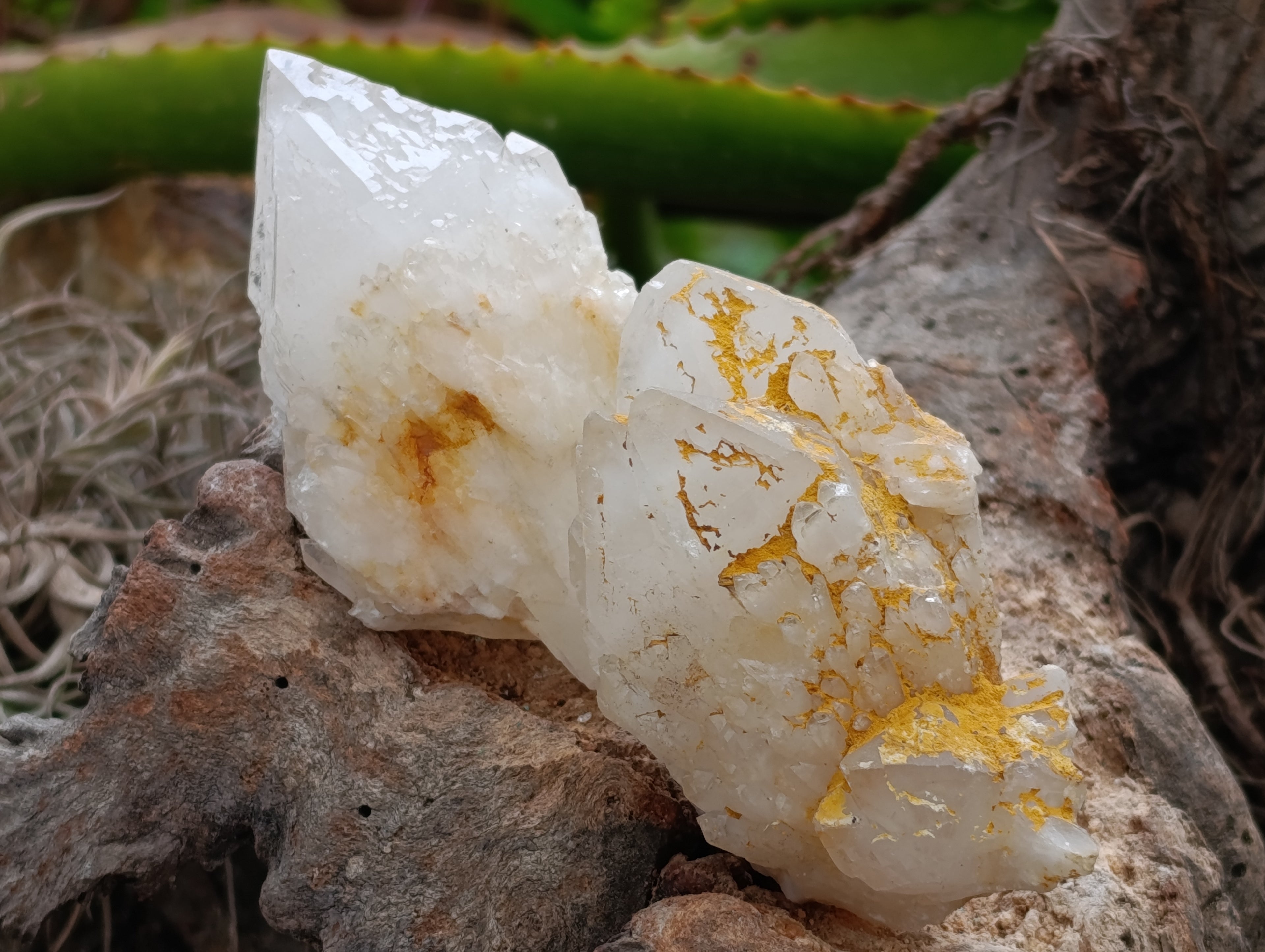 Natural White Quartz Clusters x 9 From Madagascar - Toprock Gemstones and Minerals 