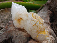 Natural White Quartz Clusters x 9 From Madagascar