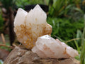 Natural White Quartz Clusters x 9 From Madagascar - Toprock Gemstones and Minerals 