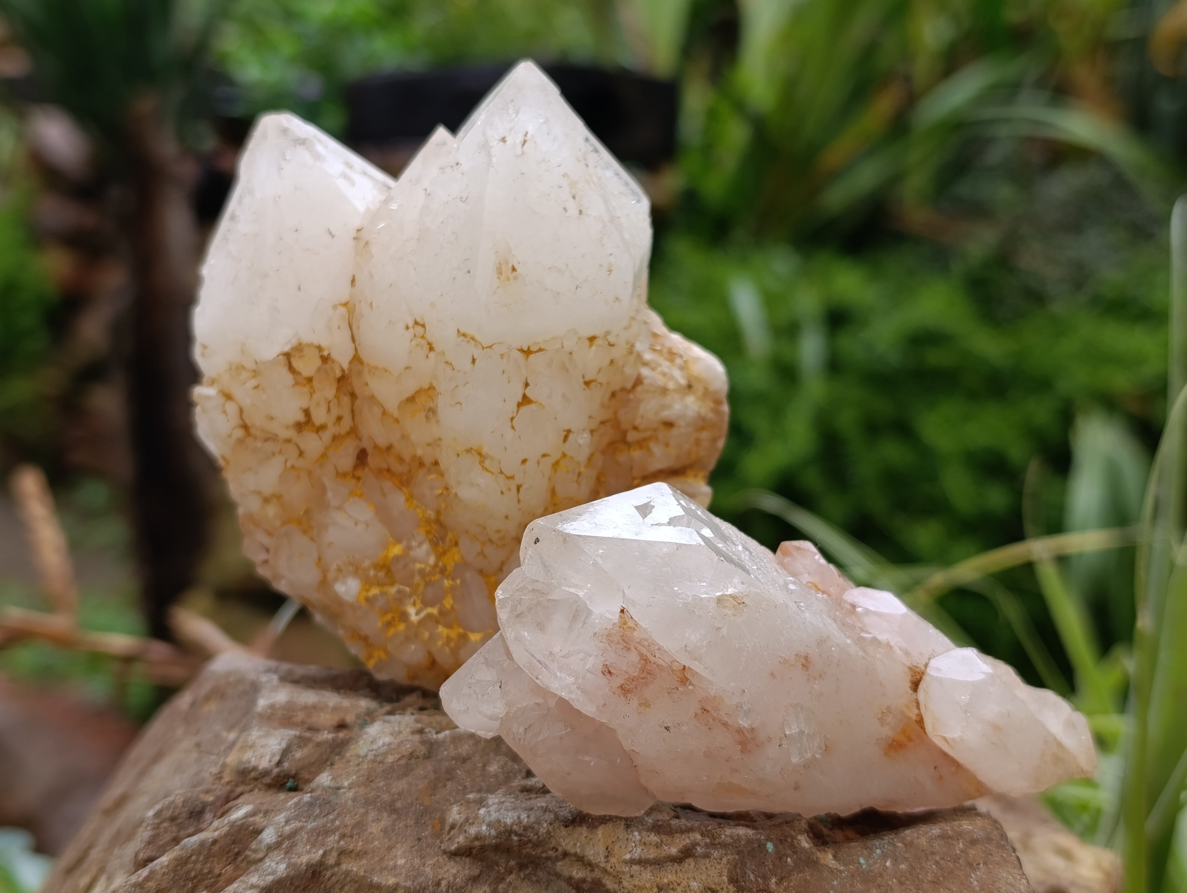 Natural White Quartz Clusters x 9 From Madagascar - Toprock Gemstones and Minerals 