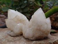 Natural White Quartz Clusters x 9 From Madagascar