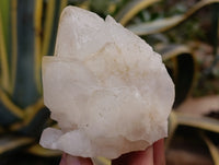 Natural White Quartz Clusters x 9 From Madagascar