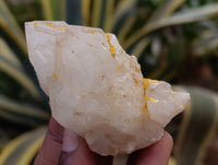 Natural White Quartz Clusters x 9 From Madagascar