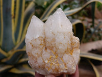 Natural White Quartz Clusters x 9 From Madagascar