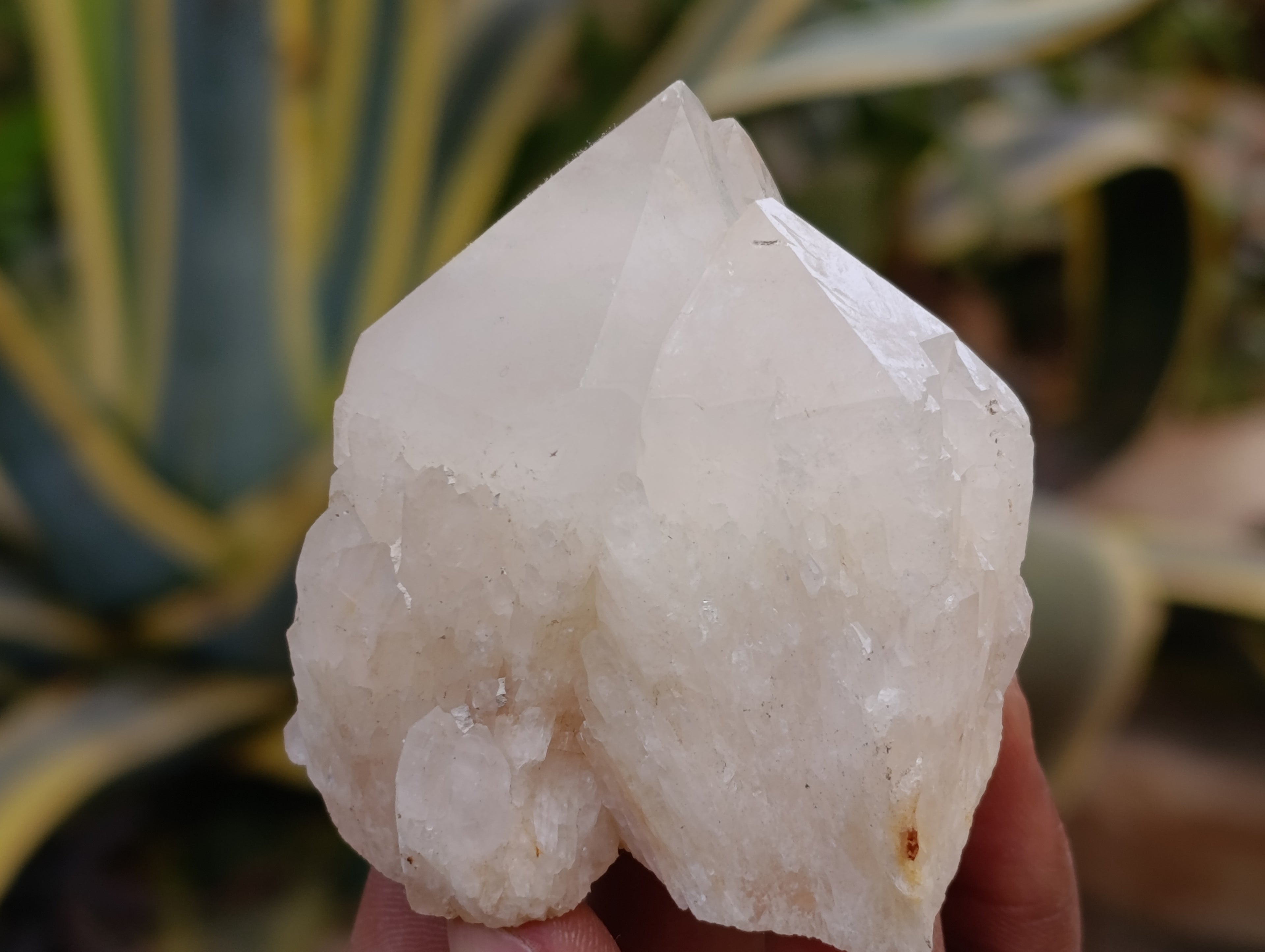 Natural White Quartz Clusters x 9 From Madagascar - Toprock Gemstones and Minerals 