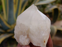 Natural White Quartz Clusters x 9 From Madagascar