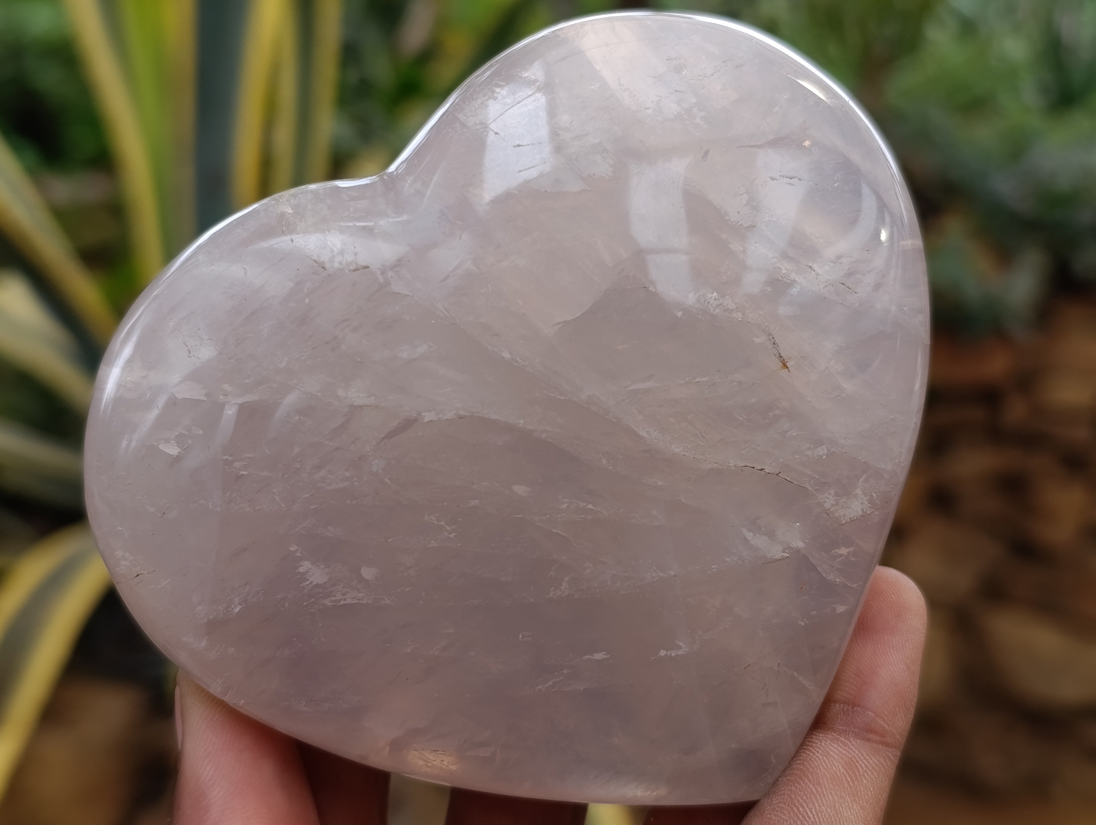 Polished Pink Pearl Girasol Quartz Hearts x 3 From Ambatondrazaka, Madagascar - Toprock Gemstones and Minerals 