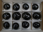 Polished Black Basalt Palm Stones x 12 From Antsirabe, Madagascar - Toprock Gemstones and Minerals 
