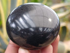 Polished Black Basalt Palm Stones x 12 From Antsirabe, Madagascar - Toprock Gemstones and Minerals 