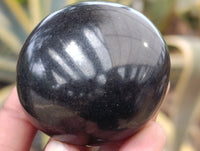 Polished Black Basalt Palm Stones x 12 From Antsirabe, Madagascar - Toprock Gemstones and Minerals 