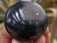 Polished Black Basalt Palm Stones x 12 From Antsirabe, Madagascar - Toprock Gemstones and Minerals 