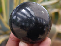 Polished Black Basalt Palm Stones x 12 From Antsirabe, Madagascar - Toprock Gemstones and Minerals 