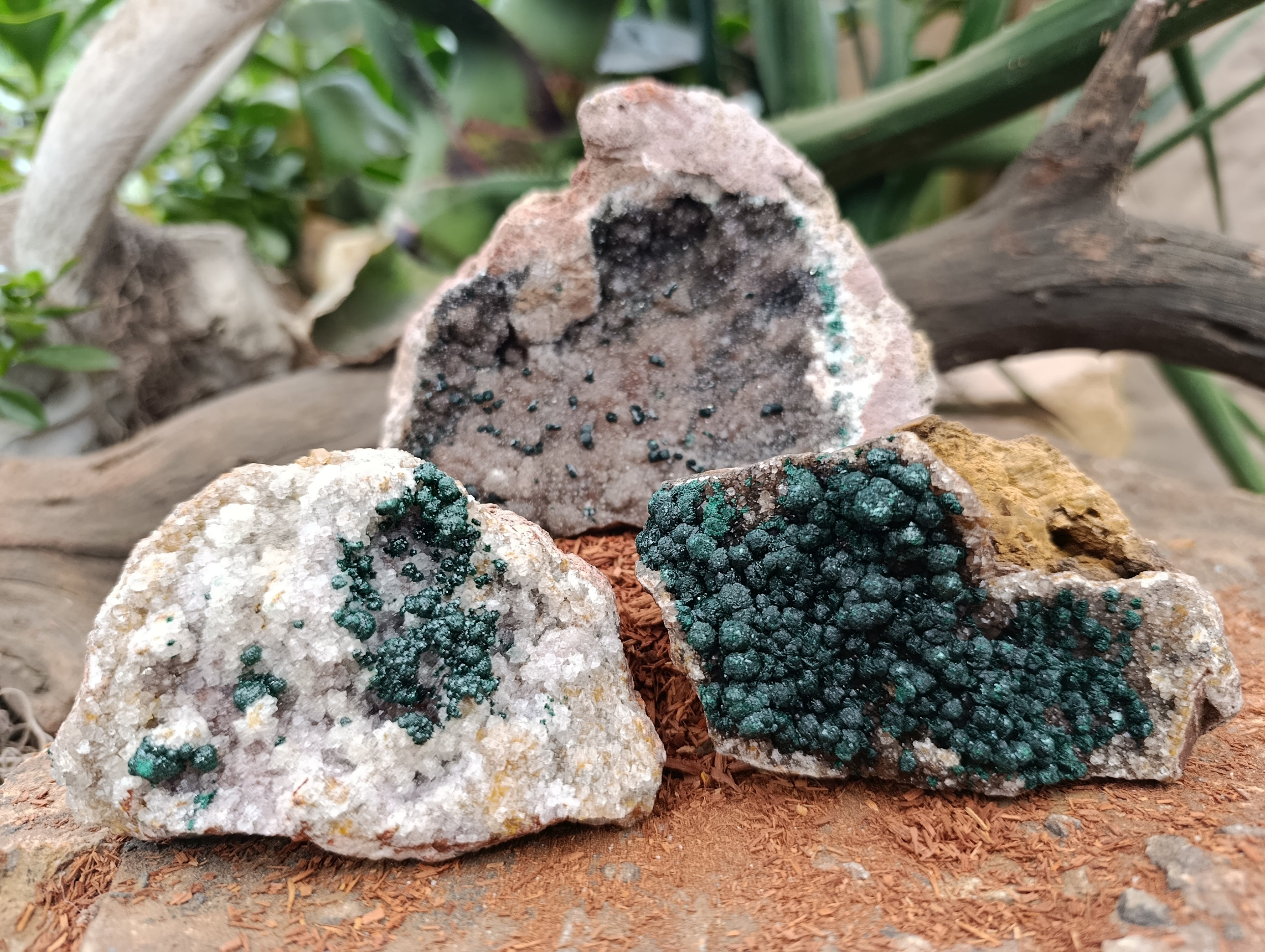 Natural Ball Malachite On Dolomite Matrix Specimens x 3 From Kambove, Congo - Toprock Gemstones and Minerals 