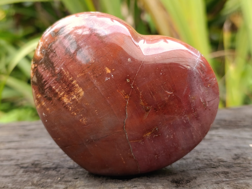 Polished Podocarpus Petrified Wood Hearts x 3 From Mahajanga, Madagascar - Toprock Gemstones and Minerals 