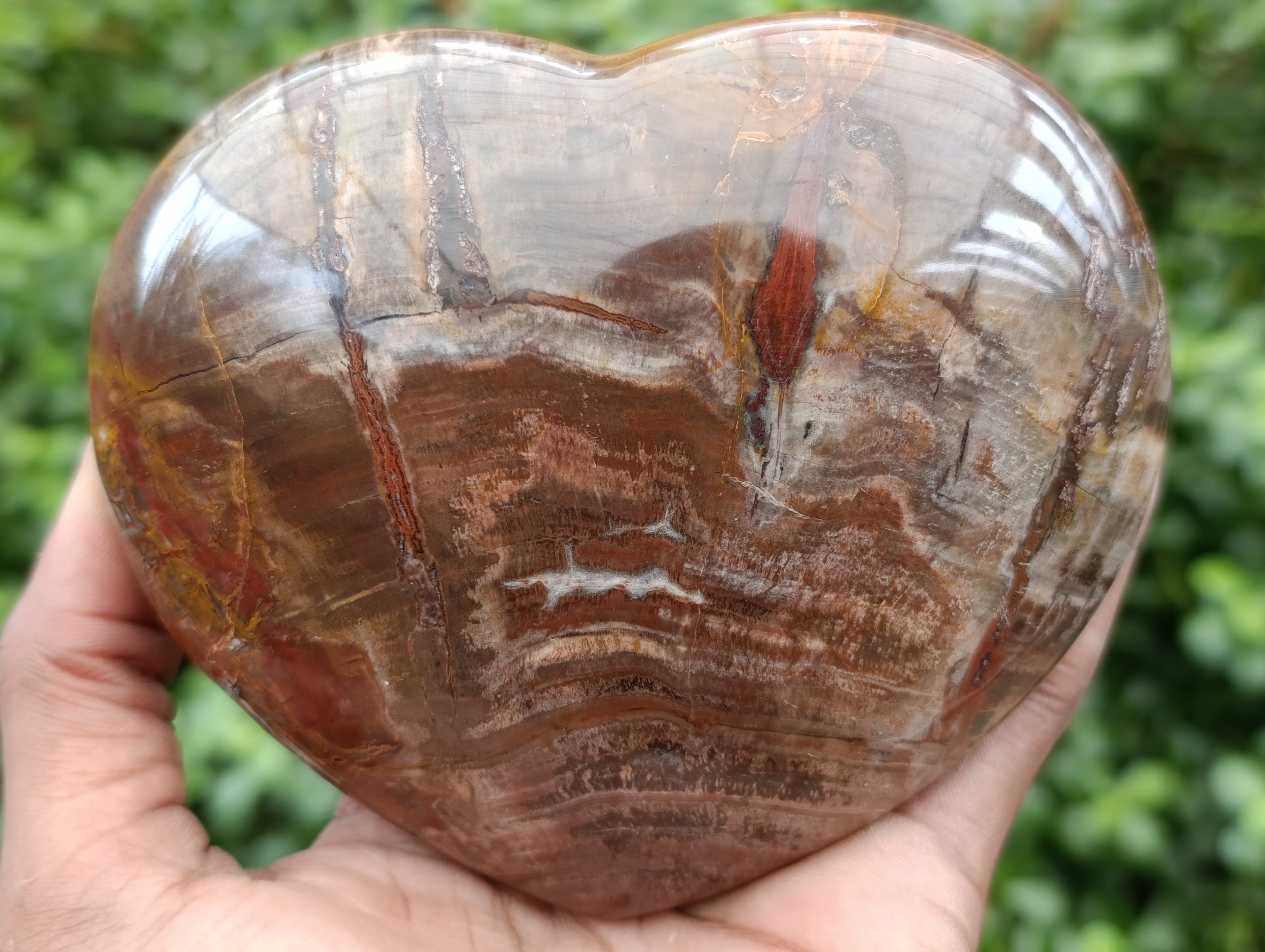 Polished Podocarpus Petrified Wood Hearts x 3 From Mahajanga, Madagascar - Toprock Gemstones and Minerals 
