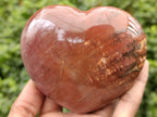 Polished Podocarpus Petrified Wood Hearts x 3 From Mahajanga, Madagascar - Toprock Gemstones and Minerals 