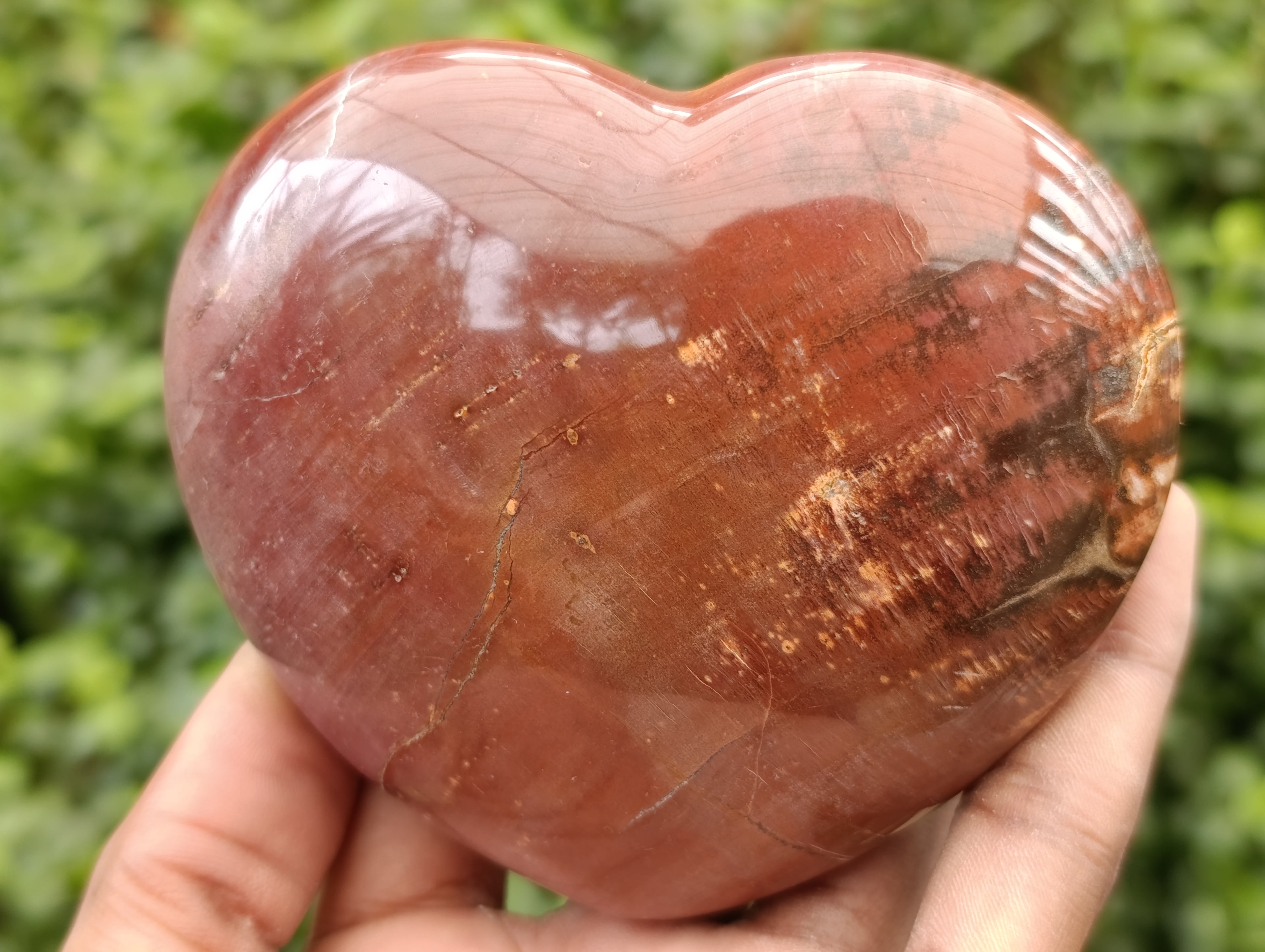 Polished Podocarpus Petrified Wood Hearts x 3 From Mahajanga, Madagascar - Toprock Gemstones and Minerals 
