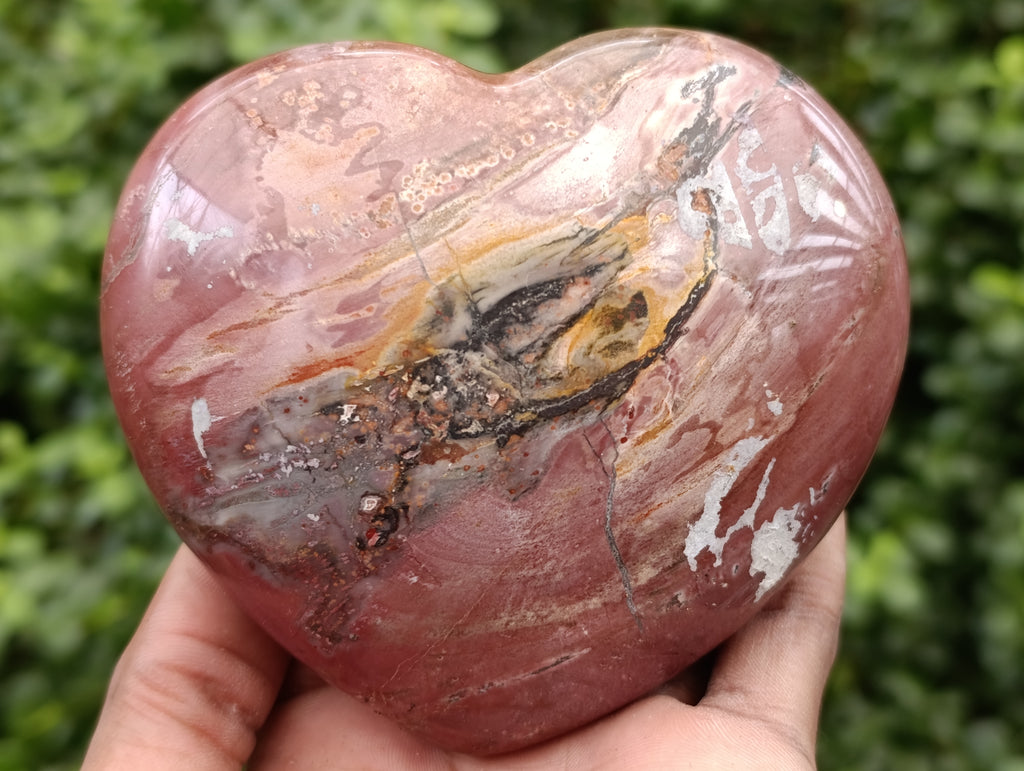 Polished Podocarpus Petrified Wood Hearts x 3 From Mahajanga, Madagascar - Toprock Gemstones and Minerals 