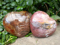 Polished Podocarpus Petrified Wood Hearts x 3 From Mahajanga, Madagascar