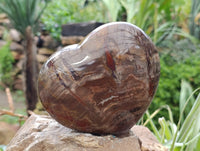 Polished Podocarpus Petrified Wood Hearts x 3 From Mahajanga, Madagascar