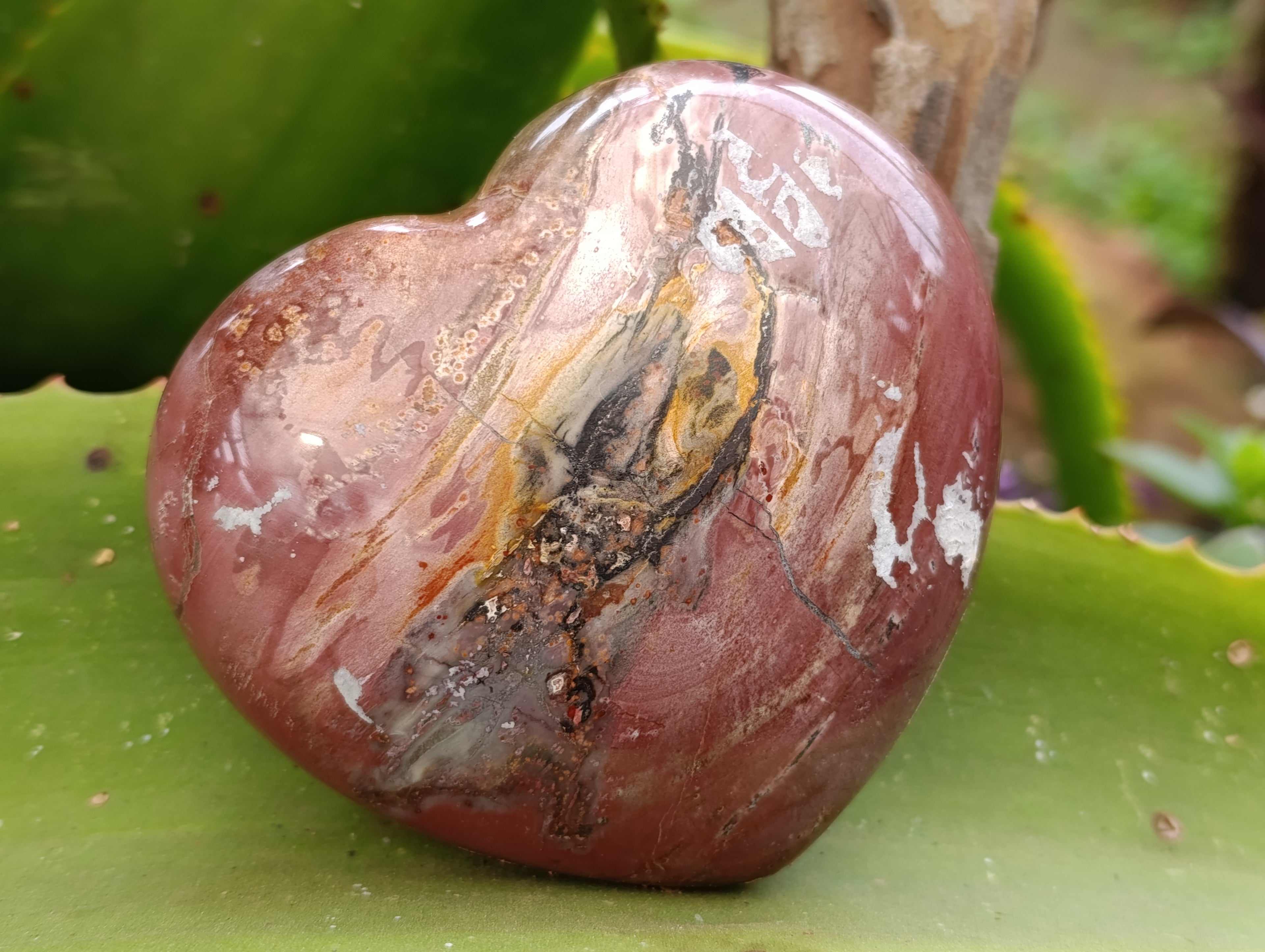 Polished Podocarpus Petrified Wood Hearts x 3 From Mahajanga, Madagascar - Toprock Gemstones and Minerals 