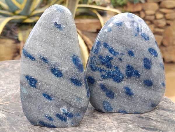 Polished Blue Spinel Spotted Quartz Standing Free Forms x 2 From Madagascar