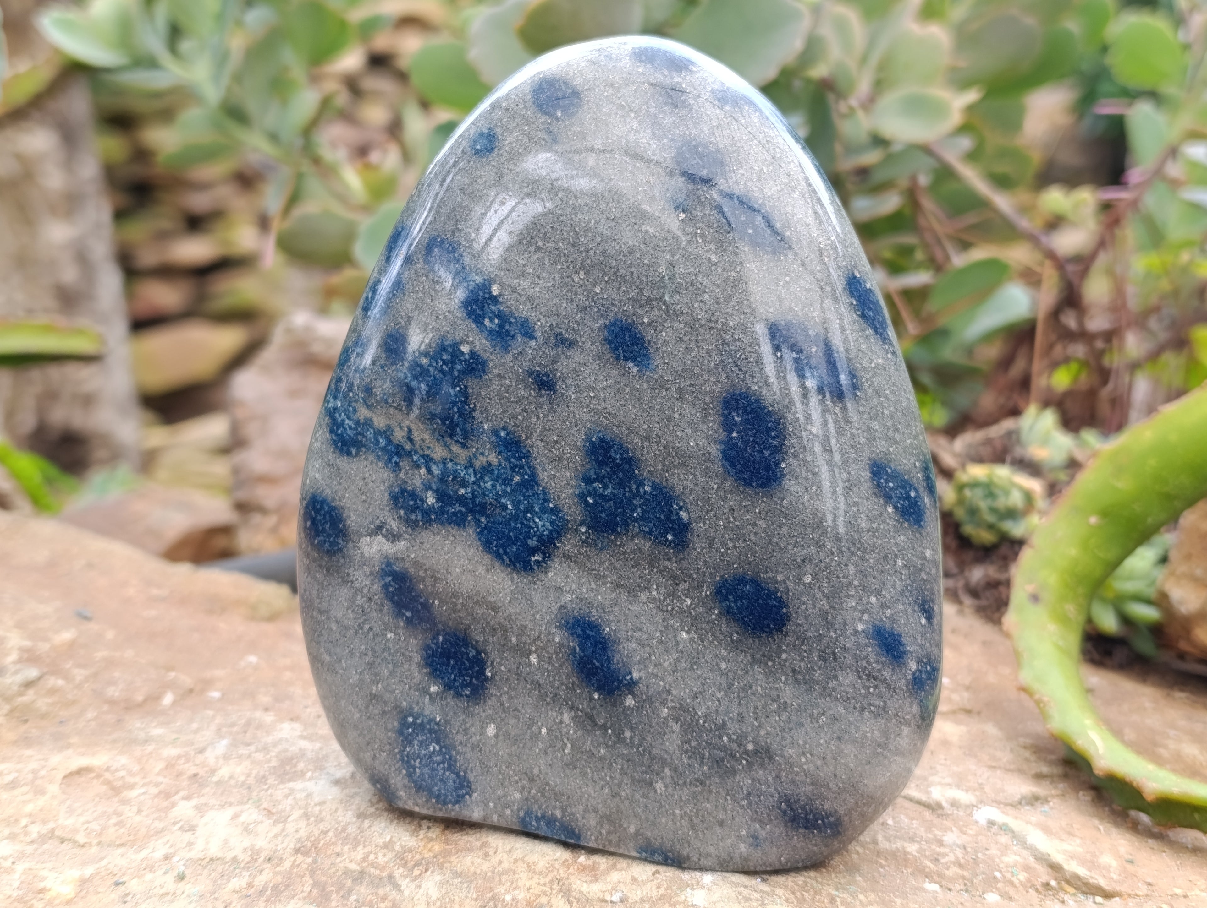 Polished Blue Spinel Spotted Quartz Standing Free Forms x 2 From Madagascar - Toprock Gemstones and Minerals 