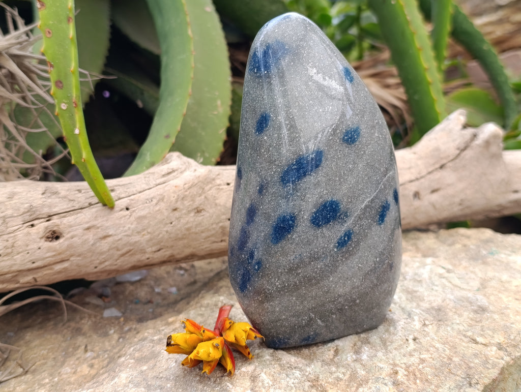 Polished Blue Spinel Spotted Quartz Standing Free Forms x 2 From Madagascar - Toprock Gemstones and Minerals 