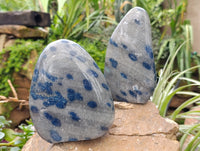 Polished Blue Spinel Spotted Quartz Standing Free Forms x 2 From Madagascar