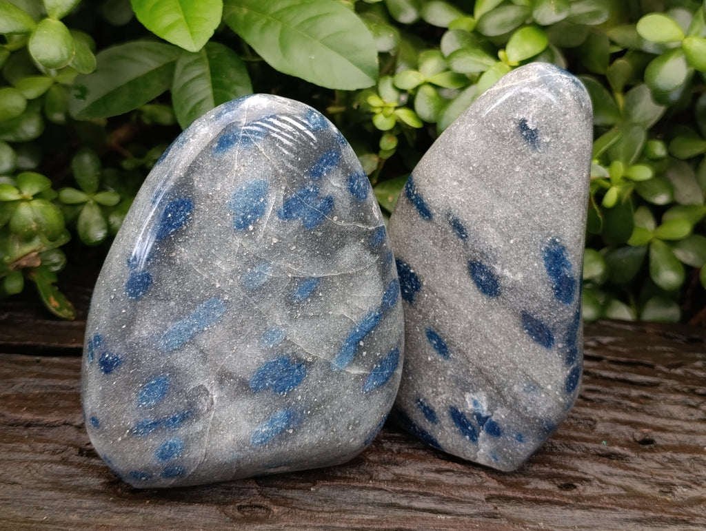 Polished Blue Spinel Spotted Quartz Standing Free Forms x 2 From Madagascar - Toprock Gemstones and Minerals 