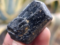 Natural Black Tourmaline Double Terminated Crystals x 35 From Zimbabwe