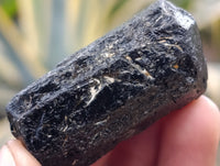 Natural Black Tourmaline Double Terminated Crystals x 35 From Zimbabwe