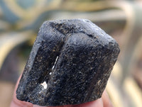 Natural Black Tourmaline Double Terminated Crystals x 35 From Zimbabwe