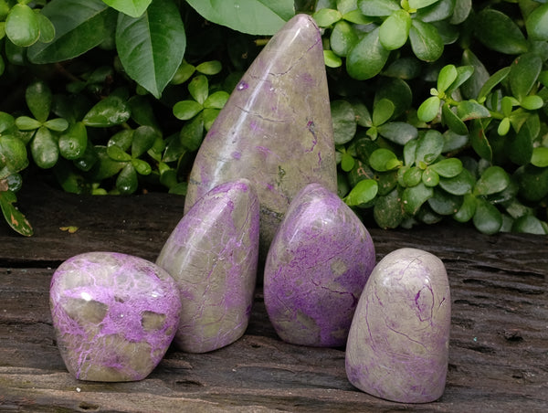 Polished Stichtite Standing Free Forms x 5 From Barberton, South Africa