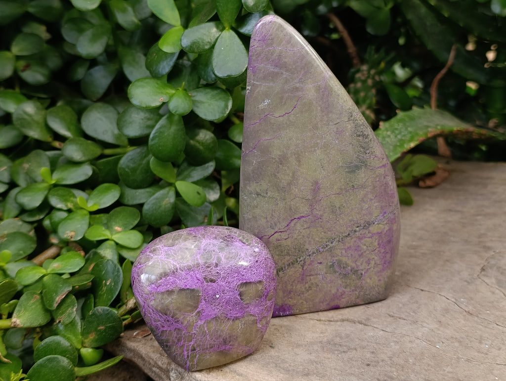 Polished Stichtite Standing Free Forms x 5 From Barberton, South Africa - Toprock Gemstones and Minerals 