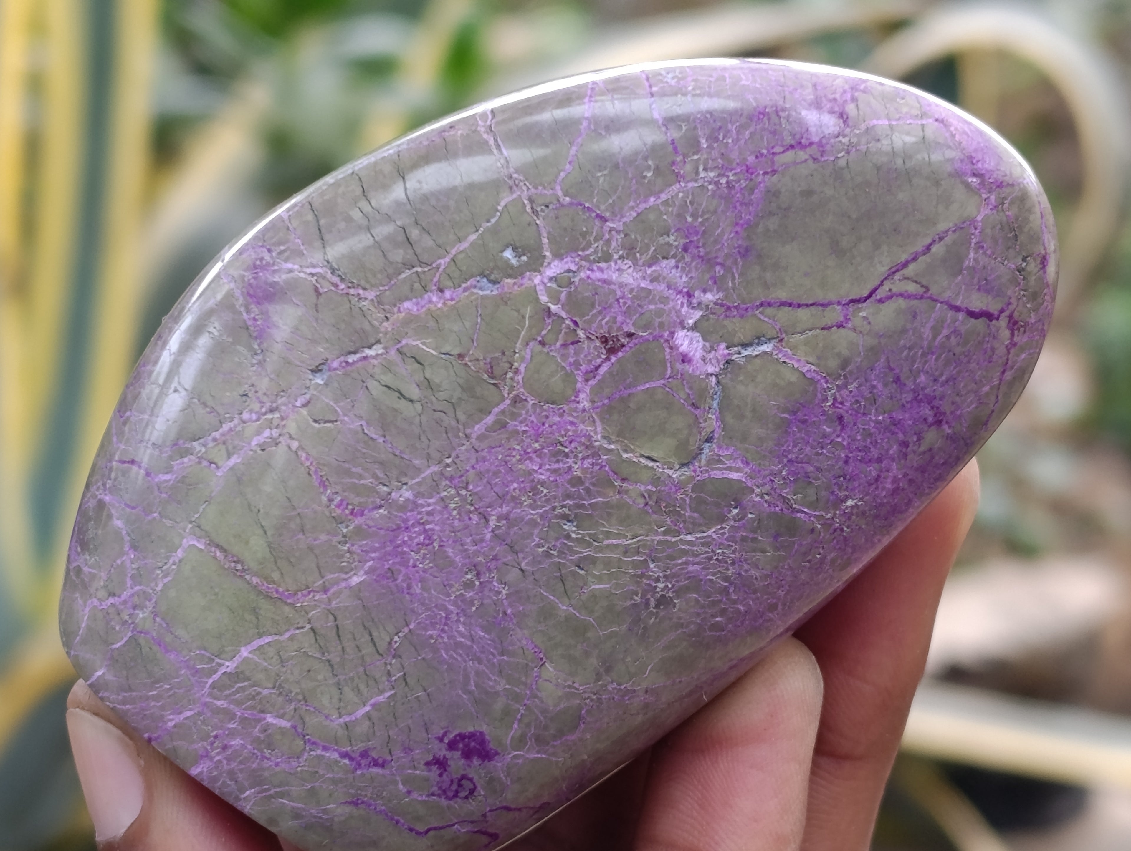 Polished Stichtite Standing Free Forms x 5 From Barberton, South Africa - Toprock Gemstones and Minerals 