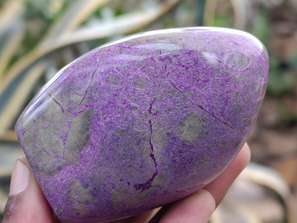 Polished Stichtite Standing Free Forms x 5 From Barberton, South Africa - Toprock Gemstones and Minerals 