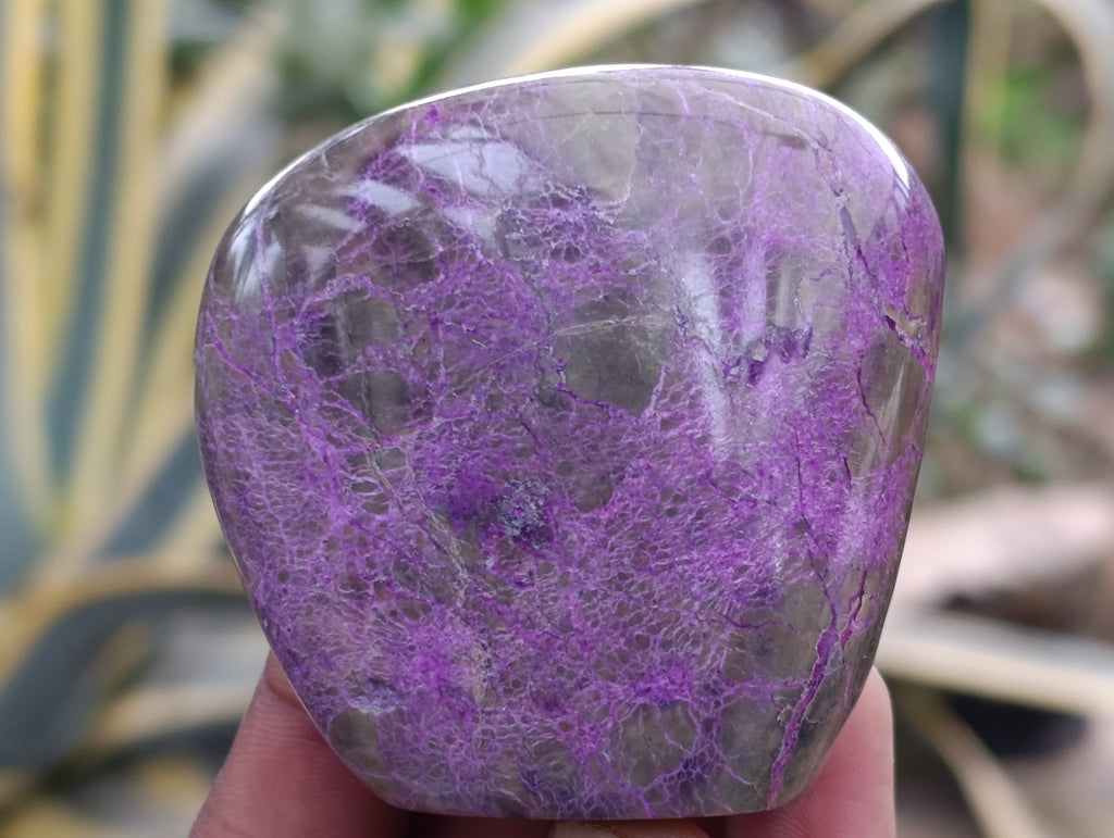 Polished Stichtite Standing Free Forms x 5 From Barberton, South Africa - Toprock Gemstones and Minerals 