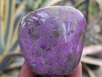 Polished Stichtite Standing Free Forms x 5 From Barberton, South Africa