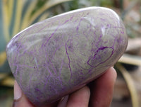 Polished Stichtite Standing Free Forms x 5 From Barberton, South Africa