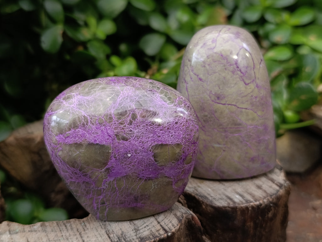 Polished Stichtite Standing Free Forms x 5 From Barberton, South Africa - Toprock Gemstones and Minerals 